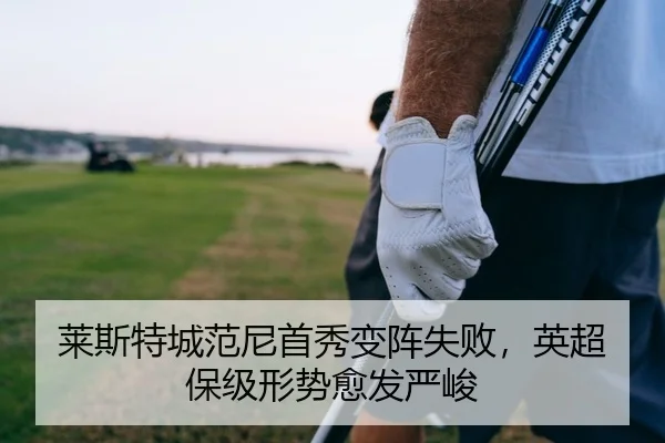 莱斯特城范尼首秀变阵失败，英超保级形势愈发严峻
